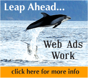 Web ads work