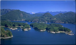 Octopus Islands