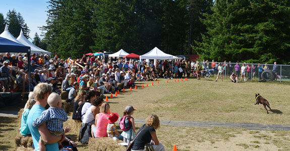 Quadra Island Fall Fair